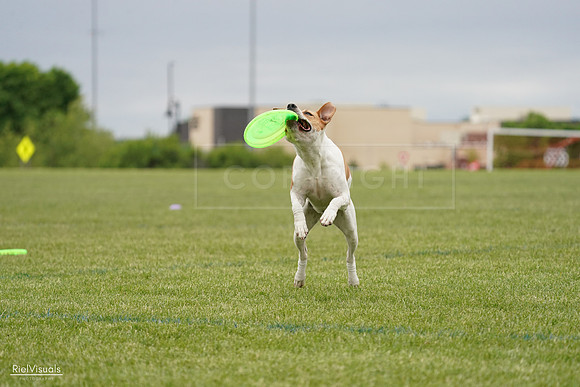 RielVisuals_20240526_134104_SJR08685