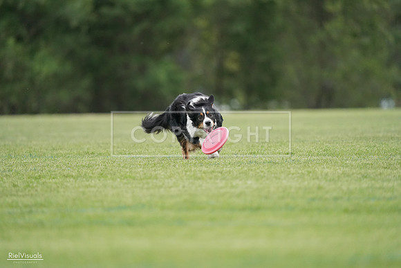 RielVisuals_20240525_164609_SJR05394