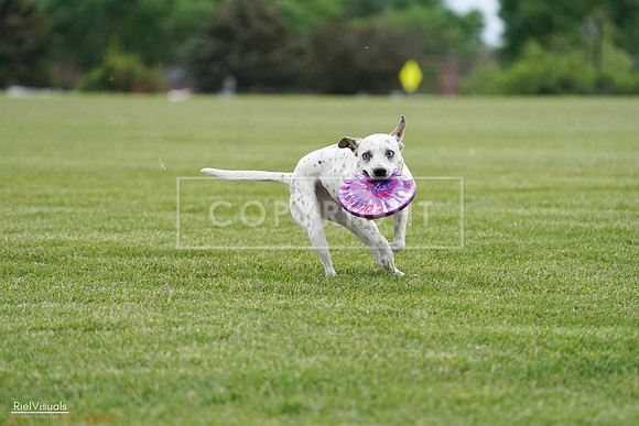 RielVisuals_20240525_160332_SJR03345