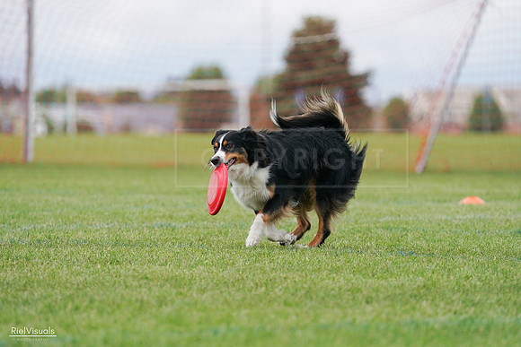 RielVisuals_20240527_142413_SJR02627