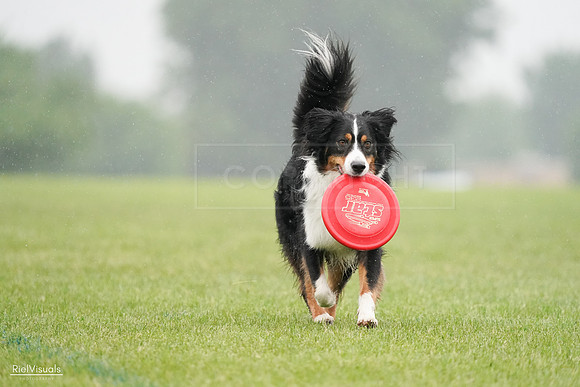 RielVisuals_20240527_104704_SJR01618