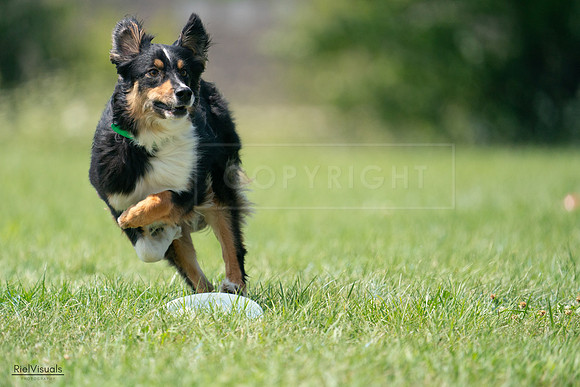 RielVisuals_20240728_143222_SJR08472