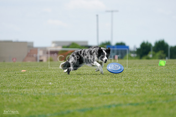 RielVisuals_20240525_124411_SJR01065