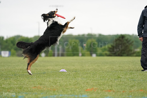 RielVisuals_20240526_131801_SJR07472