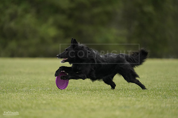 RielVisuals_20240526_133841_SJR08472