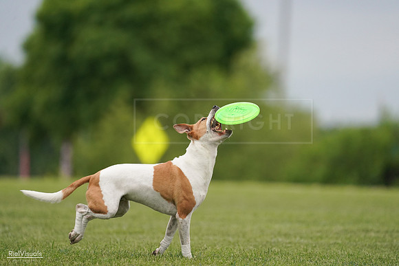 RielVisuals_20240526_134008_SJR08533
