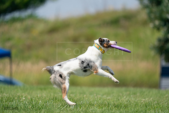 RielVisuals_20240727_140046_SJR09250