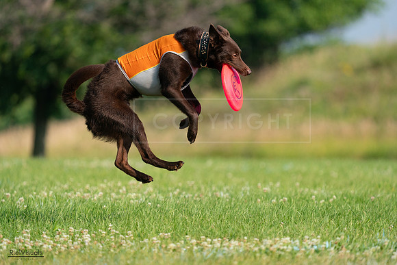 RielVisuals_20240727_092538_SJR06349