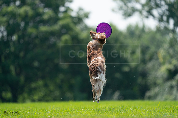 RielVisuals_20240727_131256_SJR07227