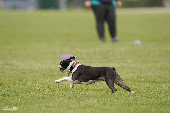 RielVisuals_20240527_142649_SJR02809