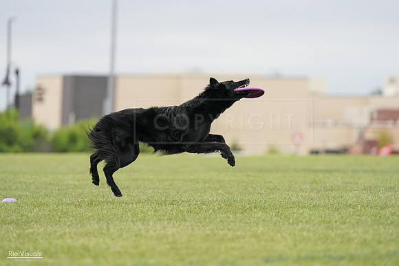 RielVisuals_20240526_133834_SJR08451