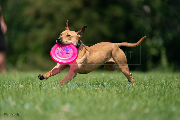 RielVisuals_20240727_115219_SJR04136