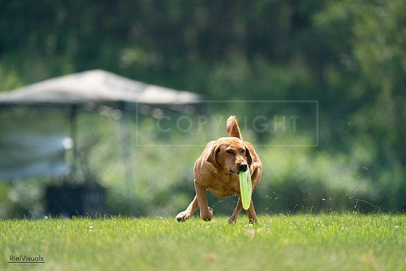 RielVisuals_20240727_122424_SJR05487