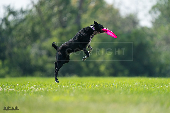 RielVisuals_20240727_125912_SJR06462