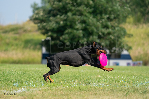 RielVisuals_20240727_100442_SJR08448