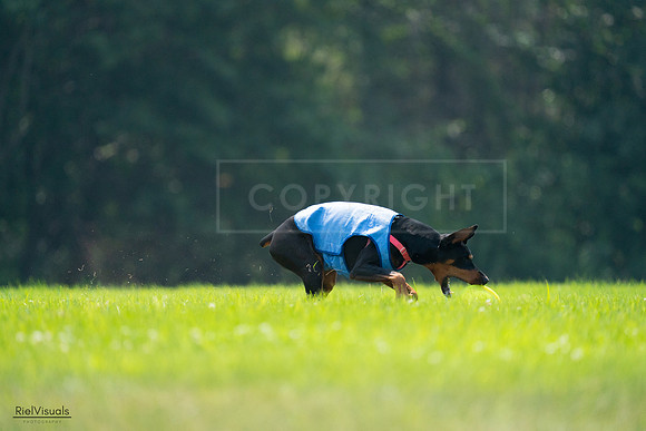 RielVisuals_20240727_122630_SJR05569