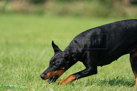 RielVisuals_20240728_103523_SJR08592