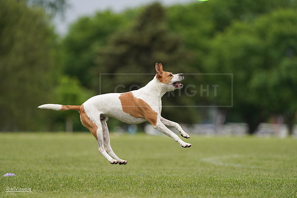 RielVisuals_20240526_134007_SJR08529