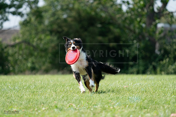 RielVisuals_20240728_144515_SJR09048