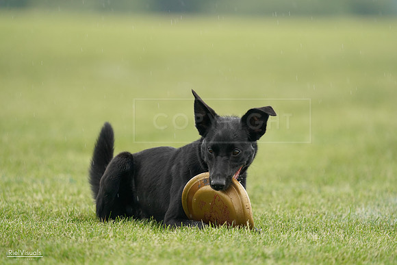 RielVisuals_20240526_092451_SJR09945