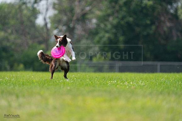 RielVisuals_20240727_115619_SJR04329