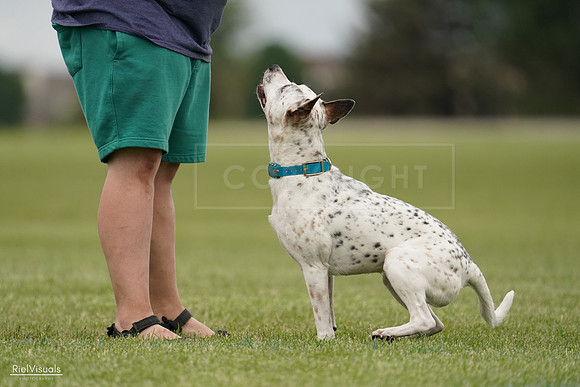 RielVisuals_20240526_134203_SJR08714