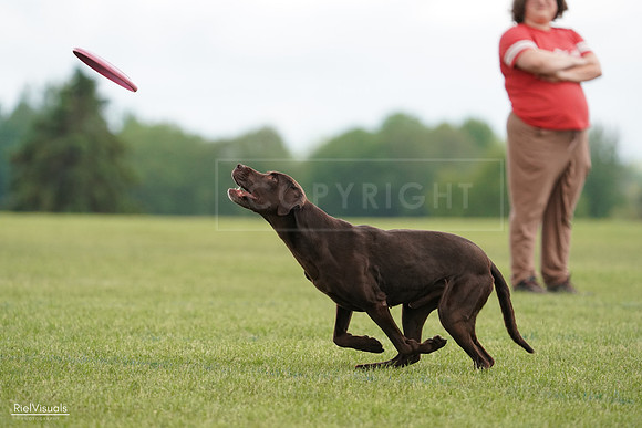 RielVisuals_20240527_140524_SJR01410