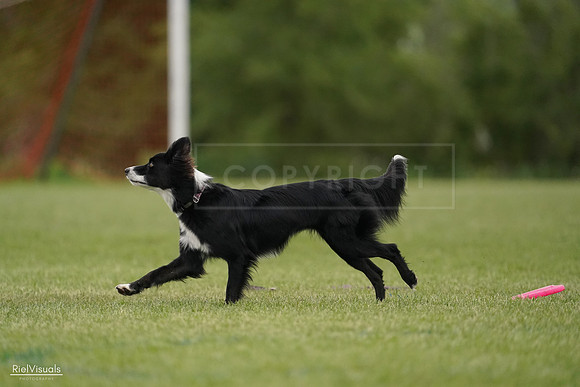 RielVisuals_20240526_132444_SJR07683