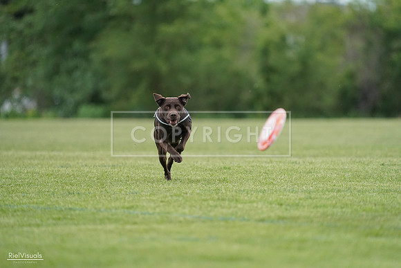 RielVisuals_20240525_162654_SJR04460