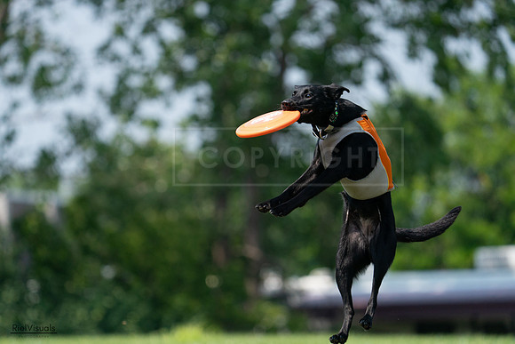 RielVisuals_20240727_134423_SJR08177