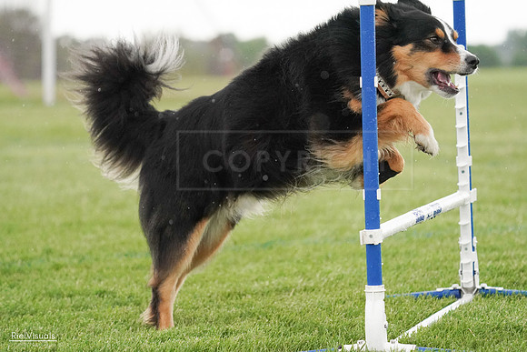 RielVisuals_20240526_094619_SJR00999