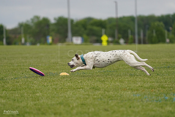 RielVisuals_20240526_134230_SJR08775