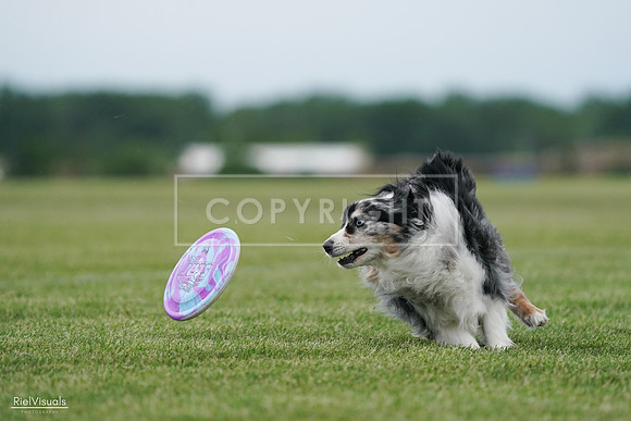 RielVisuals_20240525_163010_SJR04635