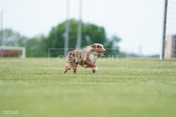 RielVisuals_20240525_163533_SJR04931