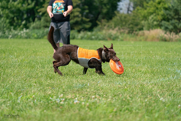 RielVisuals_20240728_114141_SJR01657