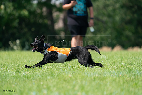 RielVisuals_20240727_134500_SJR08283