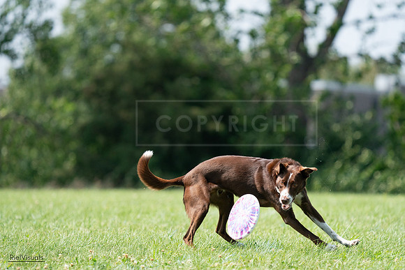 RielVisuals_20240728_144915_SJR09237