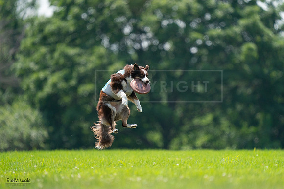 RielVisuals_20240727_130400_SJR06723
