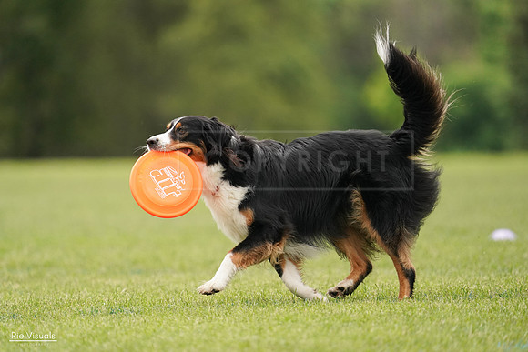 RielVisuals_20240527_132735_SJR09869