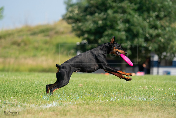 RielVisuals_20240727_100442_SJR08447