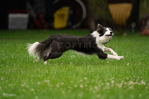 RielVisuals_20240722_192714_SJR01049