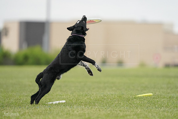 RielVisuals_20240526_132739_SJR07854