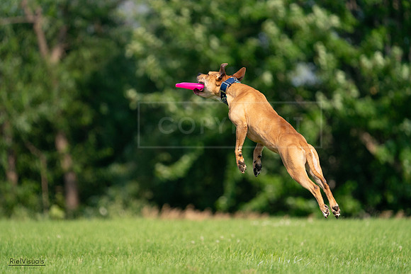 RielVisuals_20240727_093034_SJR06519