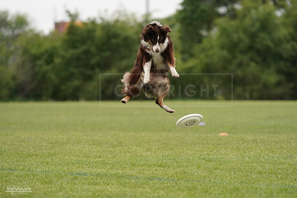 RielVisuals_20240527_132335_SJR09567