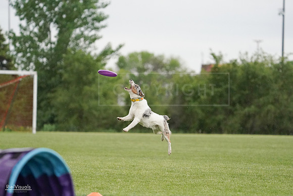 RielVisuals_20240526_092830_SJR00135