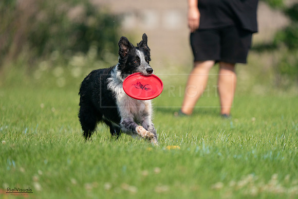 RielVisuals_20240727_100014_SJR08223