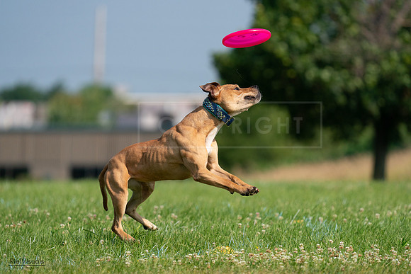 RielVisuals_20240727_093059_SJR06598