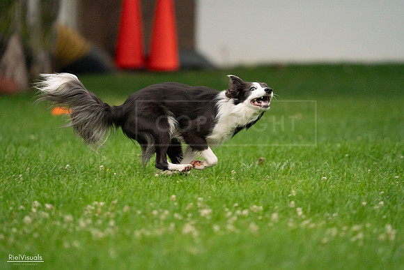 RielVisuals_20240722_192714_SJR01053