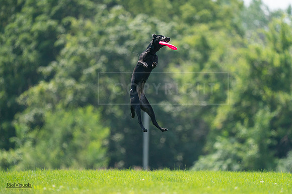 RielVisuals_20240727_131007_SJR07027