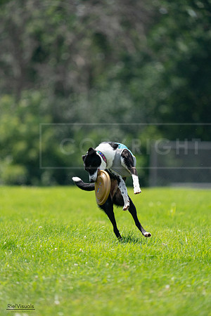 RielVisuals_20240728_132729_SJR06244